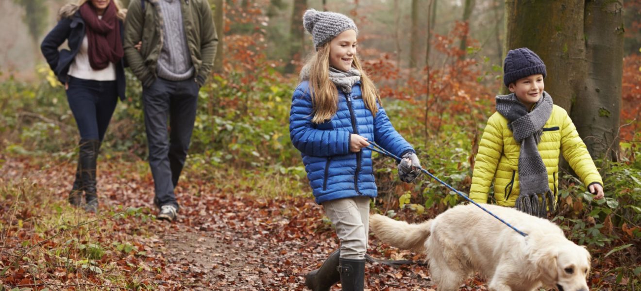 familie går tur med hunden i skogen, Så lite aktivitet skal til for å leve lenger