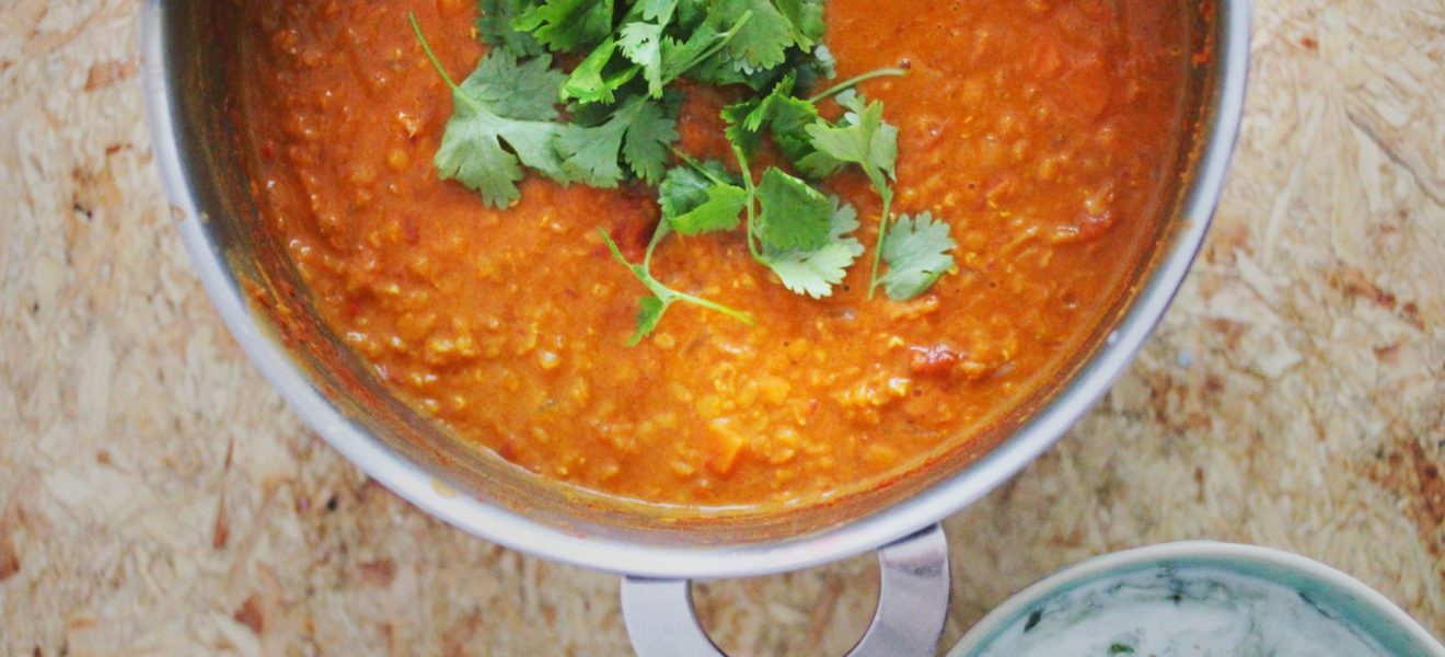indisk daal servert med agurkraita og aubergine