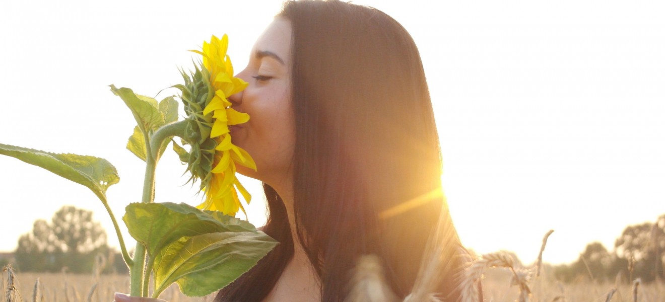 kvinne lukter på blomst solsikke åker eng solnedgang