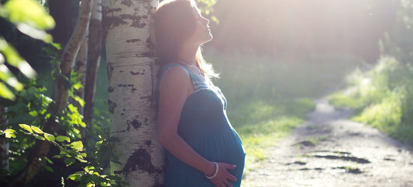 gravid dame ute i naturen bjørk sol