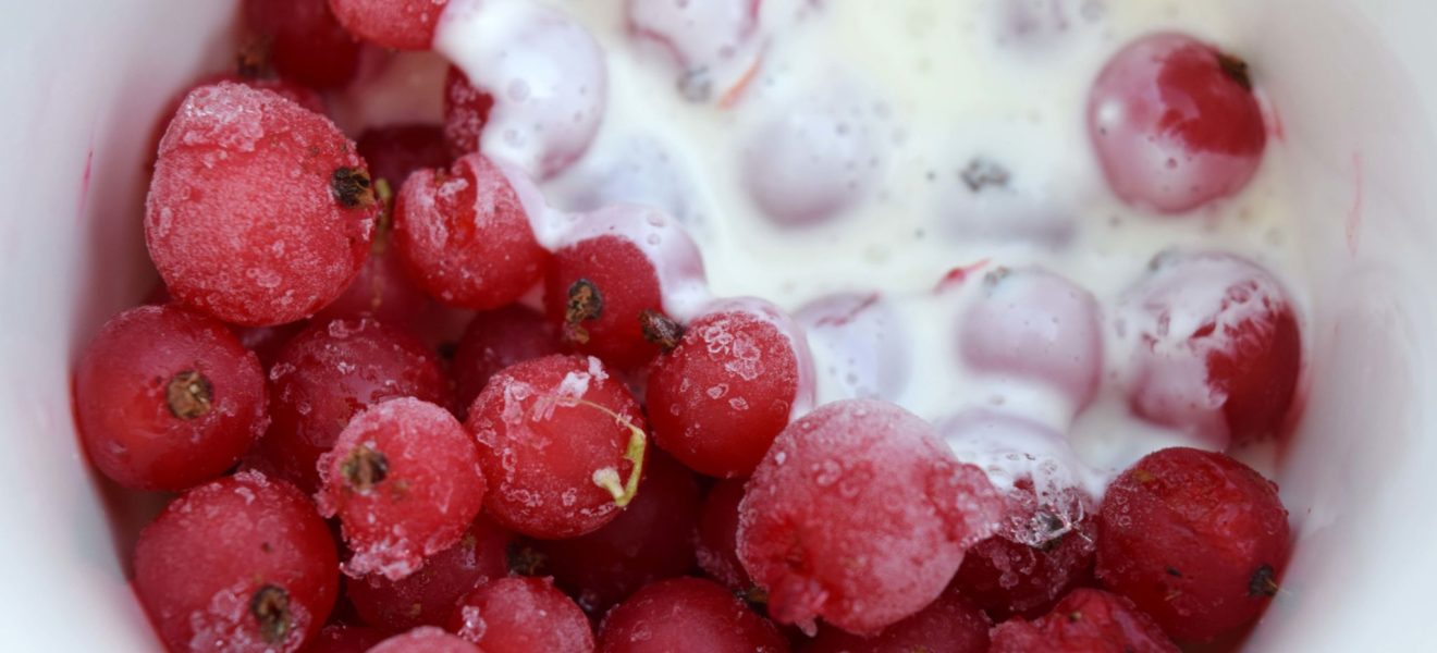 Yoghurt-vaniljesaus