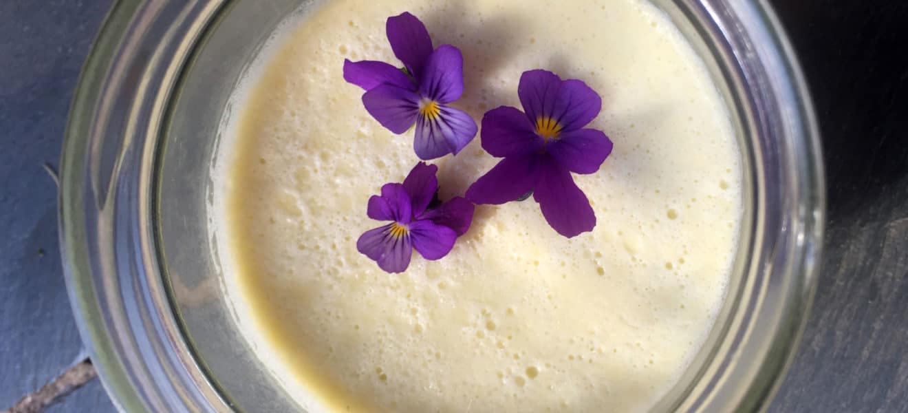 panna cotta