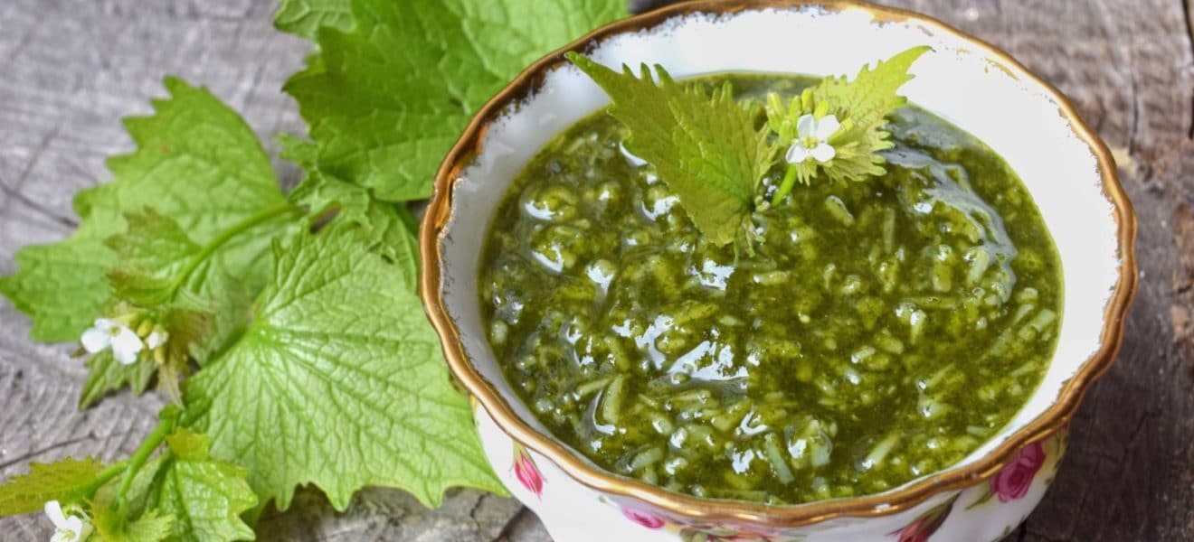løkurtpesto